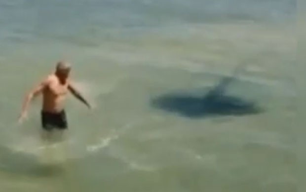 Banhista nadou assustado depois de provocar raia em praia na Austrlia (Foto: Reproduo/YouTube/operasoft)