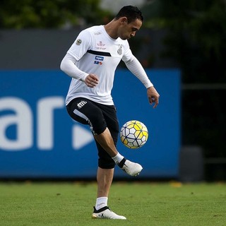 Ricardo Oliveira passará por cuidado especial para recuperar o tempo perdido (Foto: Ivan Storti/Santos FC)