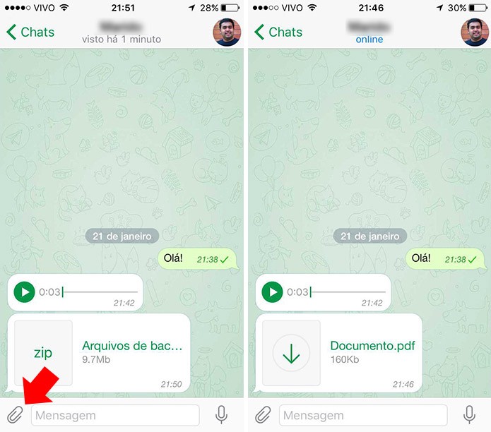 Envie e receba qualquer tipo de arquivo, de até 1,5 GB (Foto: Reprodução/Paulo Alves)