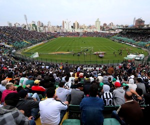Orlando Scarpelli torcida Figueirense x São Paulo (Foto: Luiz Henrique/Figueirense FC) Orlando Scarpelli torcida Figueirense x São Paulo (Foto: Luiz Henrique/Figueirense FC)
