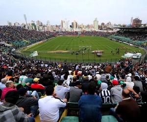 Orlando Scarpelli torcida Figueirense x São Paulo (Foto: Luiz Henrique/Figueirense FC)