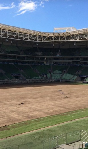 Gramado arena do Palmeiras (Foto: Divulgação)