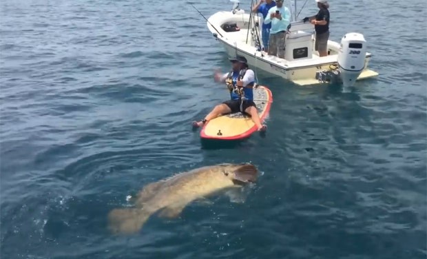 Peixe tinha mais de dois metros de comprimento e peso estimado de 180 quilos (Foto: Reprodução/YouTube/Chew On This)