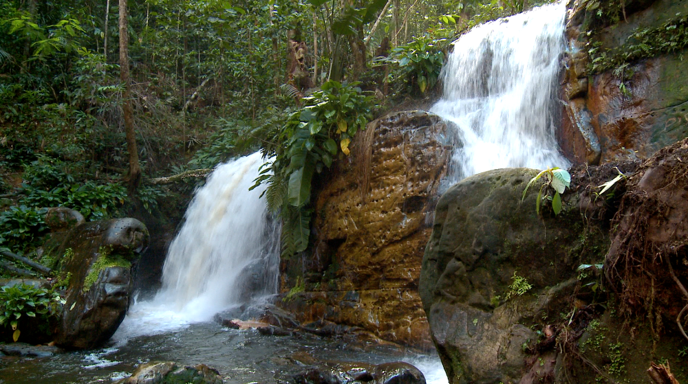 Um passeio pela reserva 'Cachoeira da Onça', em Presidente Figueiredo (Foto: Amazônia Rural)