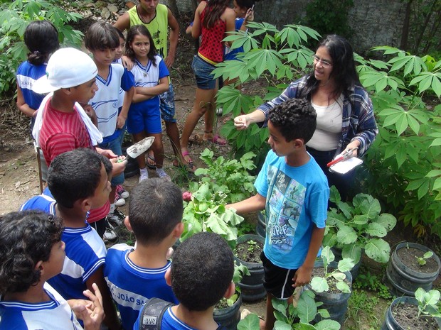 Alunos aprendem sobre plantio e educação ambiental em horta escolar. (Foto: Derek Gustavo/G1)
