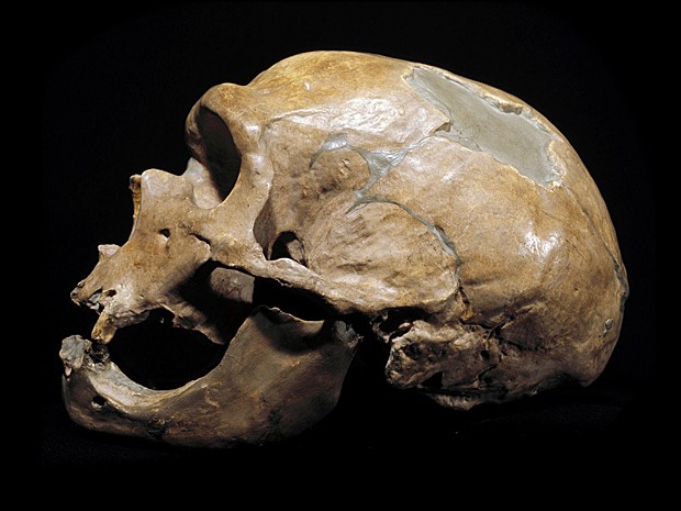 Crânio de homem de Neanderthal, do período Paleolítoco, achado na França em 1908 e exposto em Milão (Foto: Leemage/Arquivo AFP)
