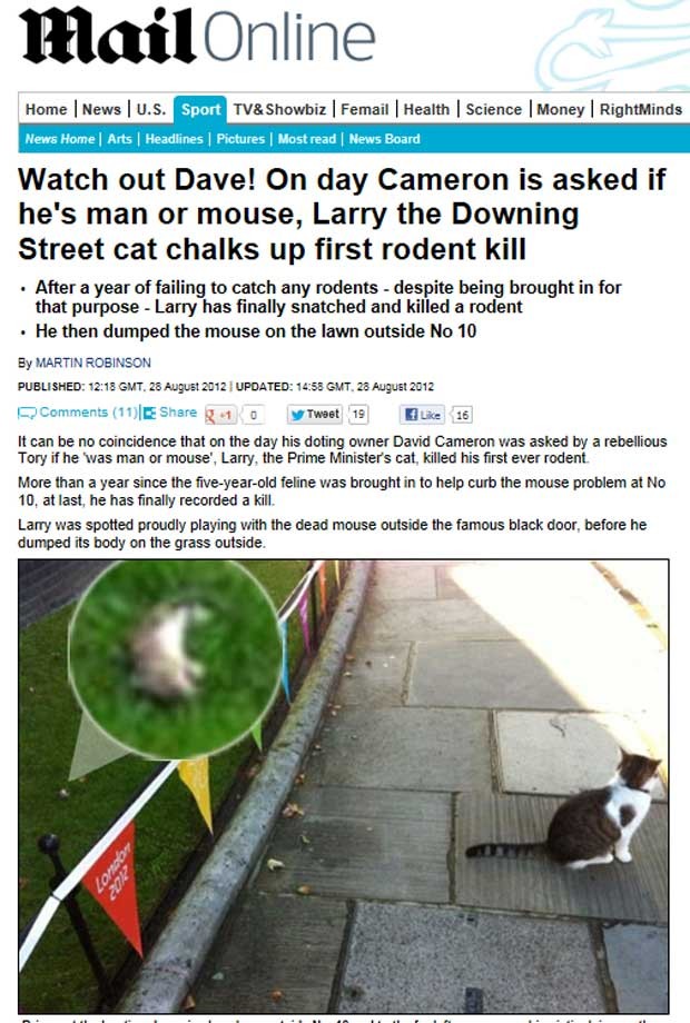 O gato Larry e sua presa, em imagens divulgadas pela imprensa britânica (Foto: Reprodução)