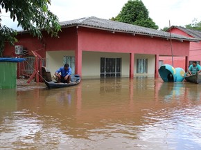 Cheia Em Ro Eleva Casos De Picadas De Cobras E Medico Ensina Cuidados Rondonia G1 g1 globo