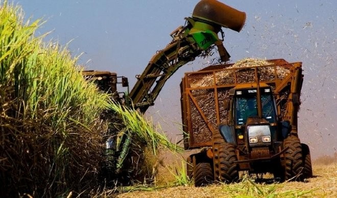 André Maggi, Renuka e Raízen leiloam máquinas agrícolas ... - Globo Rural