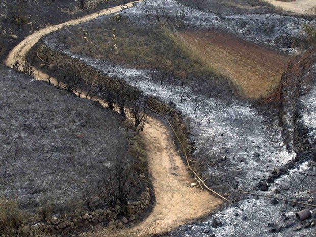 Resultado de incêndio ocorrido nas Ilhas Canárias, na Espanha; altas temperaturas dificultam combate (Foto: Santiago Ferrero/Reuters) Resultado de incêndio ocorrido nas Ilhas Canárias, na Espanha; altas temperaturas dificultam combate (Foto: Santiago Ferrero/Reuters)