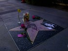 Fãs de Prince criam estrela provisória na calçada da Fama em Hollywood