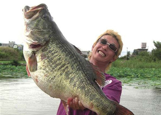 Em 2010, o japonês Manabu Kurita pescou um 'black bass' (conhecido como achigã), peixe que é bastante 'manhoso', de 10,92 kg no lago Biwa, no Japão, e igualou o recorde mundial que já durava 77 anos. (Foto: AP)