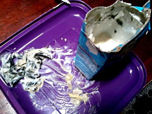 Creme de leite com corpo estranho encontrado por cliente de Samambaia Norte (Foto: Fernanda Cristine Martins dos Anjos/VC no G1)
