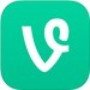 Vine 
