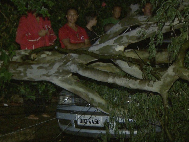 Chuva derruba árvores e causa queda de energia em Jacareí, SP (Foto: Reprodução/TV Vanguarda)