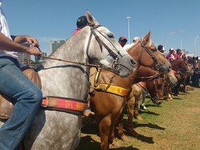 Cavalos Tomam Conta Da Esplanada Em Ato Contra Proibicao Da Vaquejada Distrito Federal G1 Veja mais ideias sobre cavalos, cavalos de vaquejada, vaquejada. g1 globo