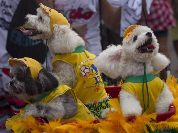 Ces j entram em clima de Copa das Confederaes para apoiar a Seleo Brasileira (Foto: Silvia Izquierdo/AP)