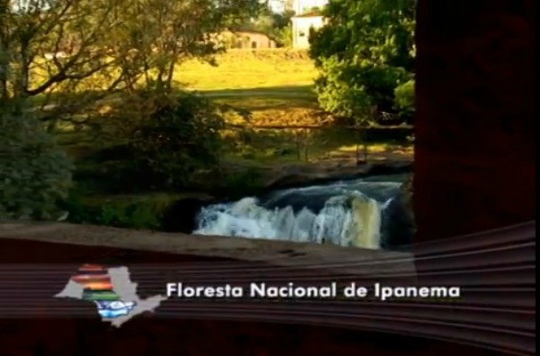 Floresta Nacional de Ipanema (Foto: Reprodução / TV TEM)