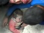 Vídeo mostra resgate de criança após ataque na Síria