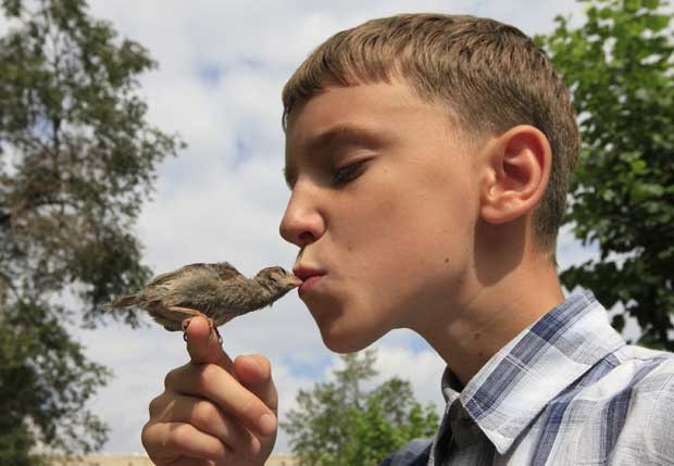 Menino resgatou a ave machucada na cidade de Minusinsk, na Rússia, e eles se tornaram "bons amigos" (Foto: Ilya Naymushin)