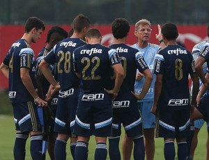 Palmeiras aposta em grupo numeroso para lutar pelo título do Brasileirão