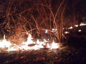Fogo atinge zonas de mata no oeste de Bahia (Foto: Secretária de Meio Ambiente/Divulgação) Fogo atinge zonas de mata no oeste de Bahia (Foto: Secretária de Meio Ambiente/Divulgação)
