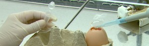 USP cria sistema que detecta dengue em 20 min (Wilson Aiello / EPTV)