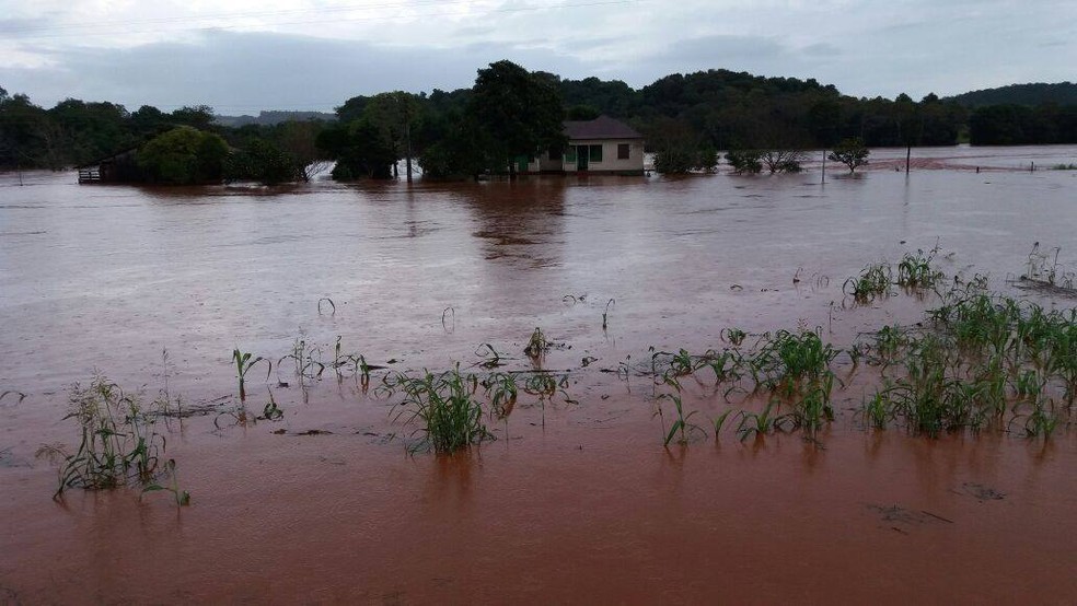 Área alagada na cidade de Coronel Bicado (Foto: Cássia Eckert/Arquivo Pessoal)