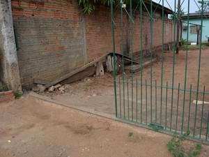 Cobra foi encontrada perto do portão da residência (Foto: Jeferson Guedes/G1) Cobra foi encontrada perto do portão da residência (Foto: Jeferson Guedes/G1)