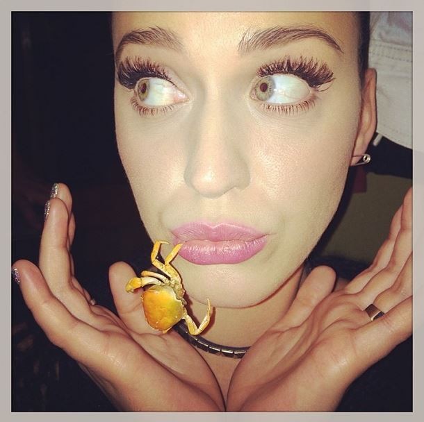 Katy Perry  (Foto: Instagram/Reprodução)