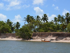 Assoreamento em área de mangue é visivel  (Foto: Marina Fontenele/G1)