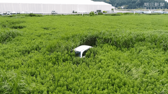 Fukushima (Foto: Reprodução/ Takehana / The Asahi) Fukushima (Foto: Reprodução/ Takehana / The Asahi)
