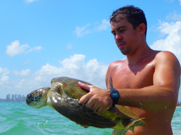A tartaruga que foi encontrada viva na praia do Bessa foi devolvido ao mar (Foto: Arquivo Pessoal/David Montenegro)
