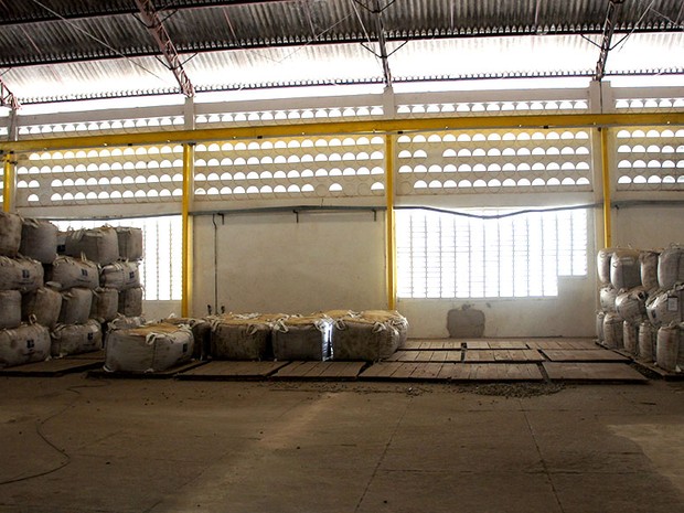 Sem chuva, produção de castanha de caju despenca; efeitos da estiagem são vistos também nos galpões de armazenamento, que ficam quase vazios  (Foto: Anderson Barbosa/G1)