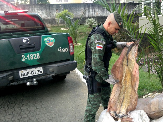 Segundo o Batalhão Ambiental, os animais e o pescado seriam comercializados em feiras de Manaus esta semana (Foto: Divulgação/Batalhão Ambiental)