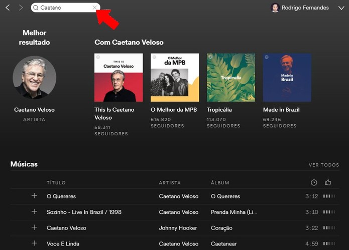 Pesquise por músicas e artistas no Spotify (Foto: Reprodução/Rodrigo Fernandes) Pesquise por músicas e artistas no Spotify (Foto: Reprodução/Rodrigo Fernandes)
