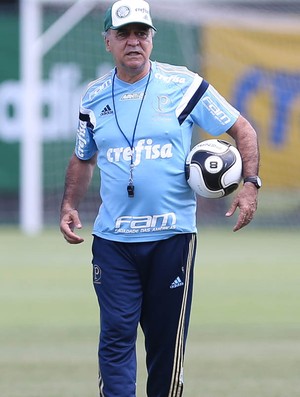 Marcelo Oliveira Palmeiras treino (Foto: Cesar Greco/Ag Palmeiras/Divulgação)