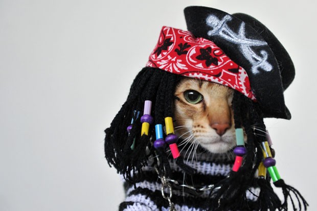 Felino usou fantasia de pirata (Foto: Vyacheslav Oseledko/AFP)