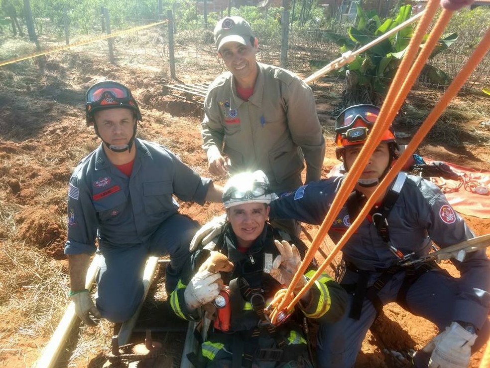 Filhote foi resgatado de poço desativado em Rosana (Foto: Corpo de Bombeiros/Cedida)