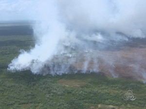 Incêndio destroi vegetação de campos e florestas de várzea no Amapá (Foto: Reprodução/TV Amapá)