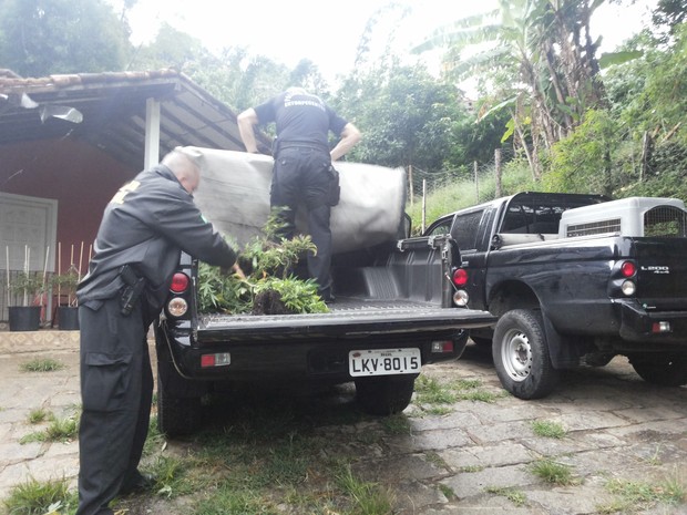 Operação da PF encontra estrutura sofisticada de cultivo de maconha em Petrópolis 3 (Foto: Andressa Canejo/G1)