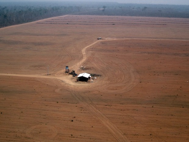 Mais de 6,5 mil hectares desmatadas ilegalmente foram embargadas pelo Ibama (Foto: Assessoria/Ibama)