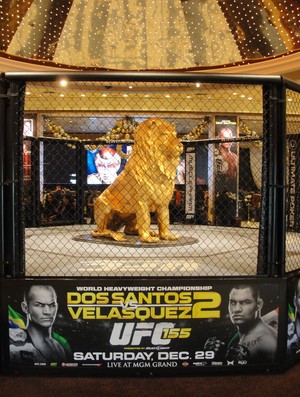 Octógono montado na entrada do MGM para o UFC 155 (Foto: Marcelo Russio ; SporTV.com)