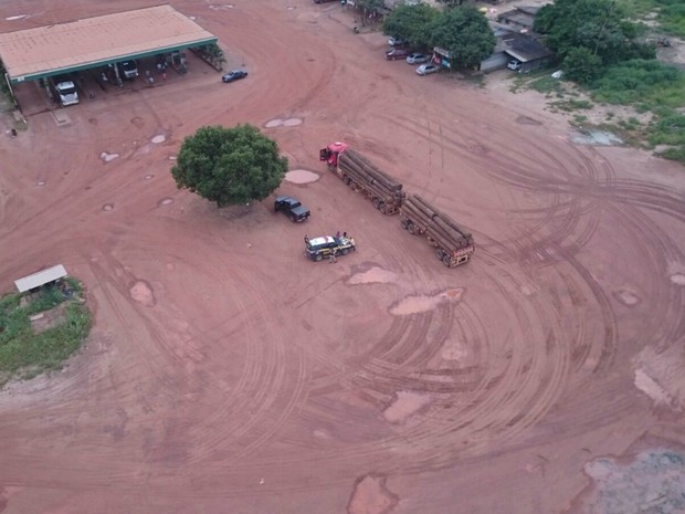 PRF acha 4 áreas de desmatamento durante operação em Mato Grosso (Foto: Assessoria/PRF-MT)