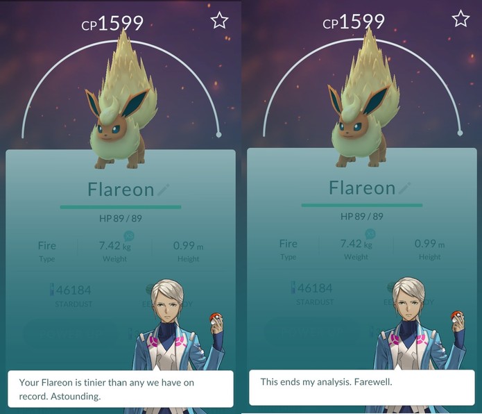 Pokémon Go: o líder também sinaliza peso e/ou altura do Pokémon (Foto: Reprodução/Vinícius Mathias)