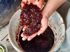 A casca de cebola usada no artesanato é cozida e depois triturada (Foto: Jesana de Jesus/G1)