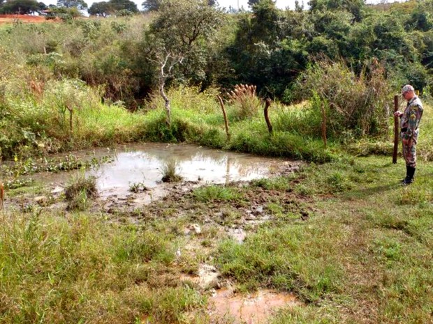 G Pecuarista Multado Em R Mil Por Degradar Nascente De C Rrego