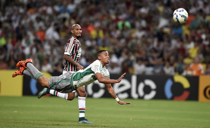 Fluminense x Palmeiras, Maracanã. (Foto: andré durão) Fluminense x Palmeiras, Maracanã. (Foto: andré durão)