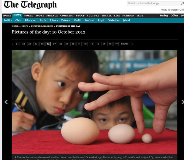 Chinês acredita que sua galinha colocou menor ovo do mundo. (Foto: Reprodução/Daily Telegraph)