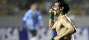 Palmeiras vai à final da Copa do Brasil (Rahel Patrasso / Agência Estado)